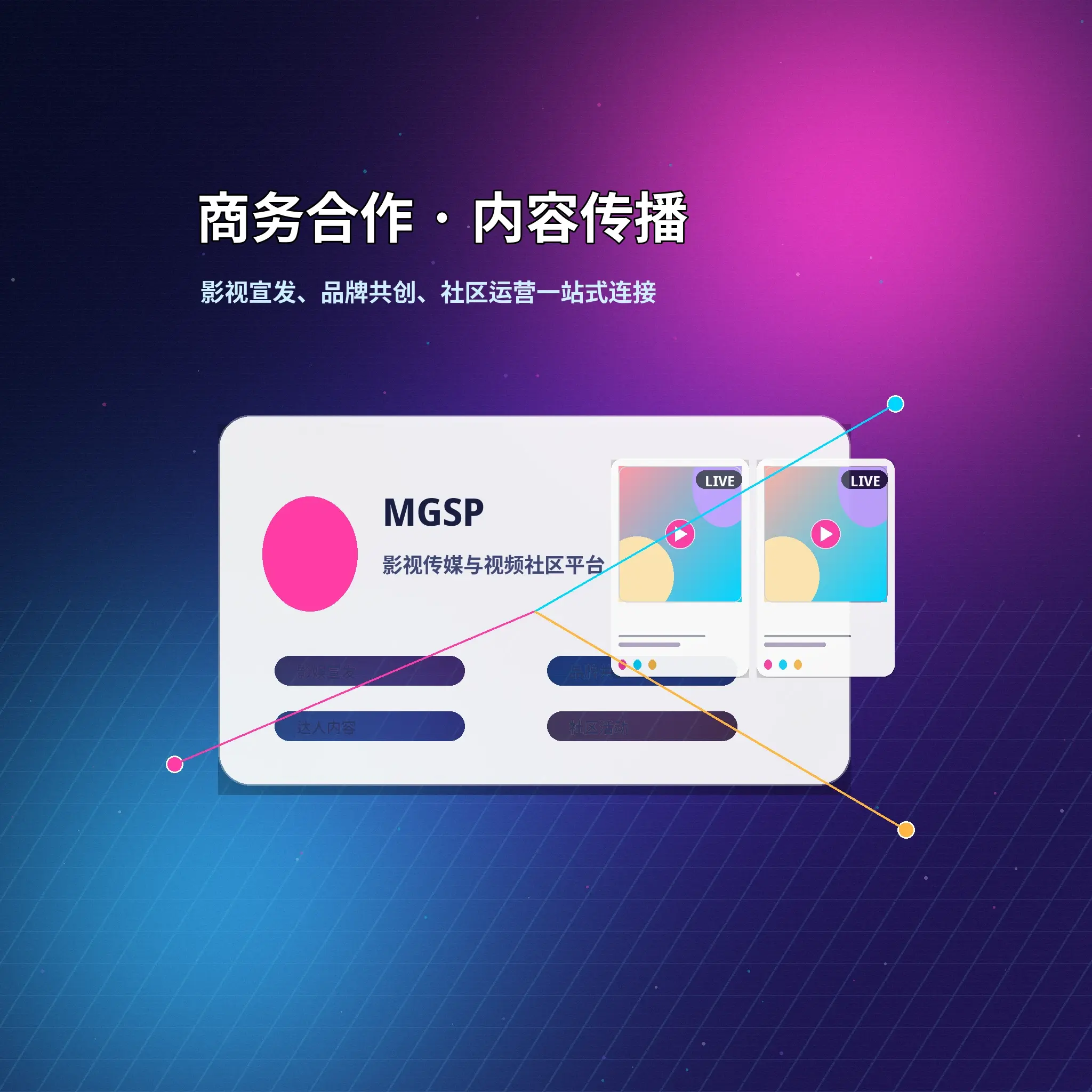 蘑菇视频选择与问题相符的咨询类型相关内容
